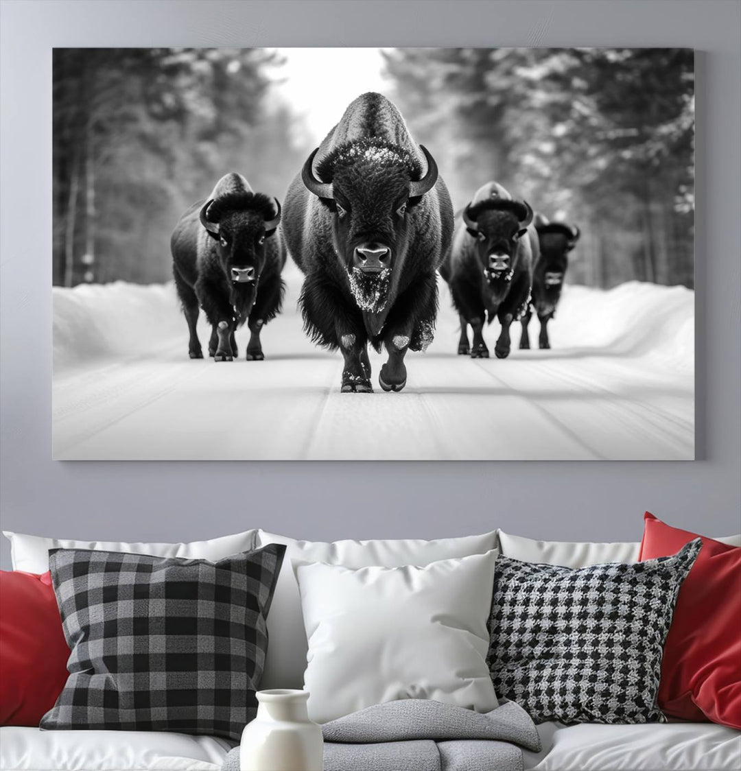 Buffalo Wall Art Canvas Print, Bison Wall Art Canvas Print