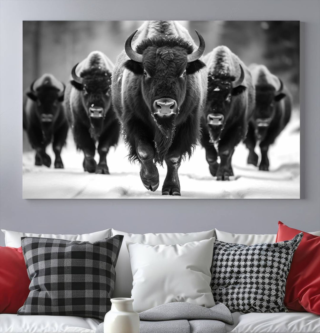 A modern living room features a striking black-and-white American Bison Art | Buffalo Herd Wall Art Canvas Print on the wall.