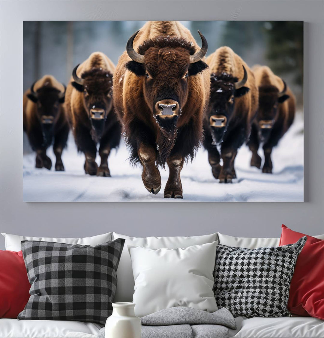 Buffalo Wall Art Canvas Print, American Bison Herd Wall Art Canvas Print