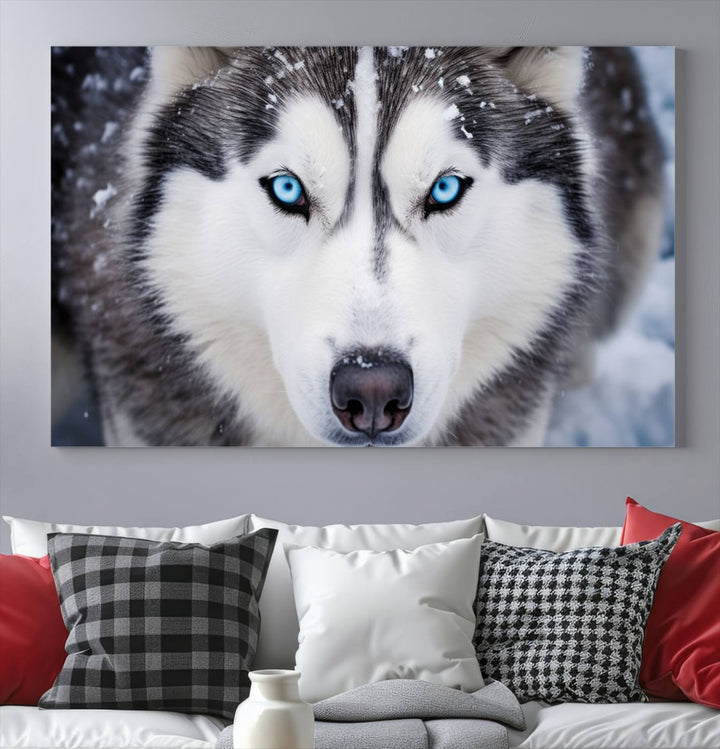 A large framed Winter Siberian Husky Wolf Wall Art Canvas Print, an exquisite piece of animal portrait decor, hangs prominently on the wall.