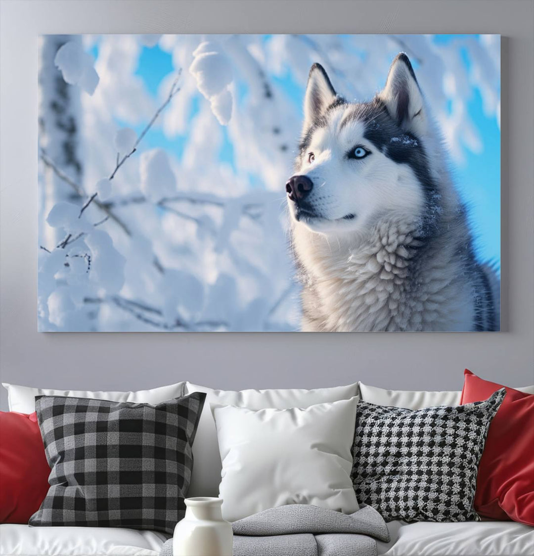 The Siberian Husky Art Canvas elegantly enhances the room.