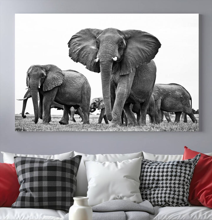 The Black White Elephant Family Wall Art Canvas Print features a triptych of elephants walking in the wild, crafted as gallery-quality wall art on premium canvas.