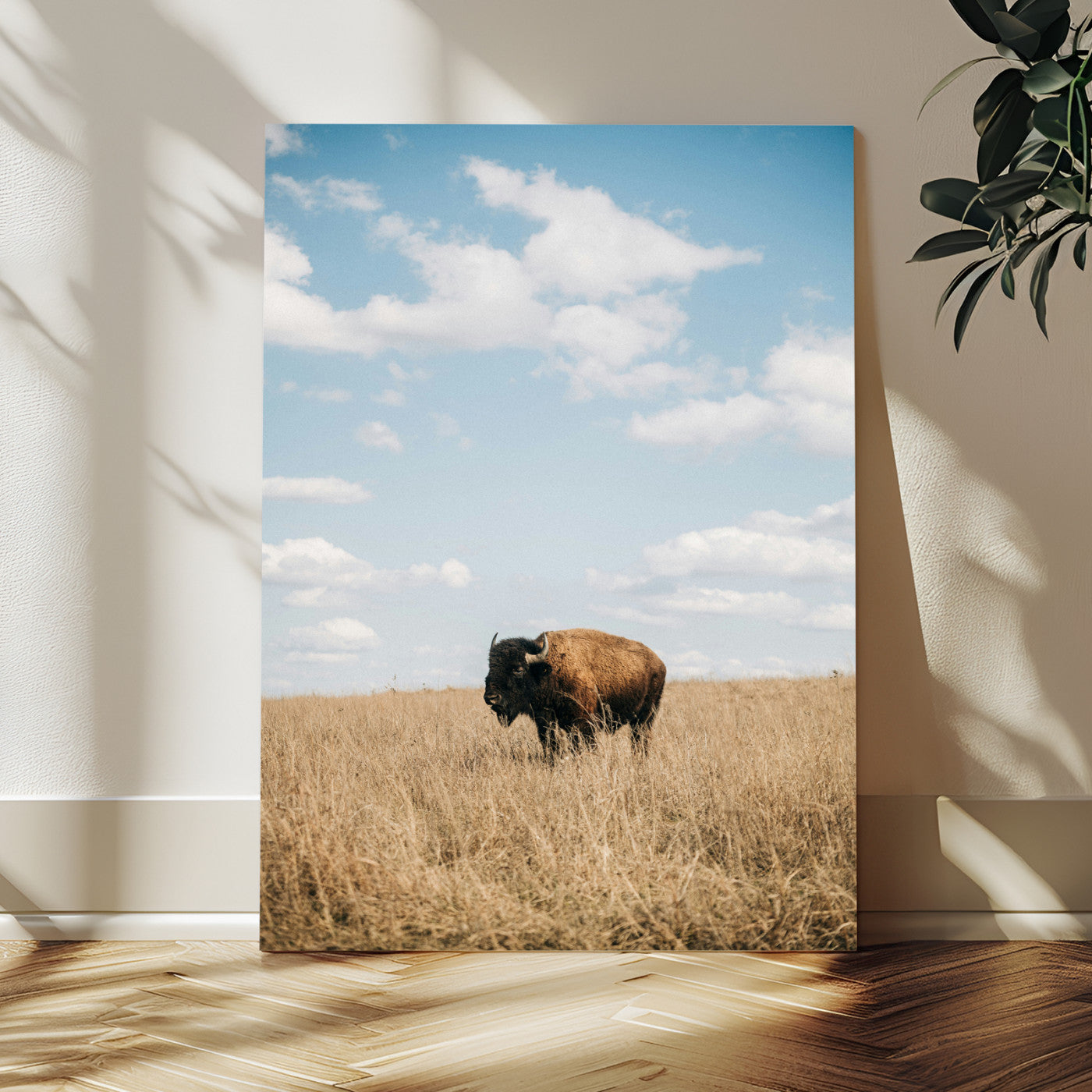 MGV-CV-24X36 - Bison Photography Wall Art Canvas Print, Framed Western Landscape Art Picture Print, Prairie Serenity Perfect Modern Ranch Decor Decor Artwork