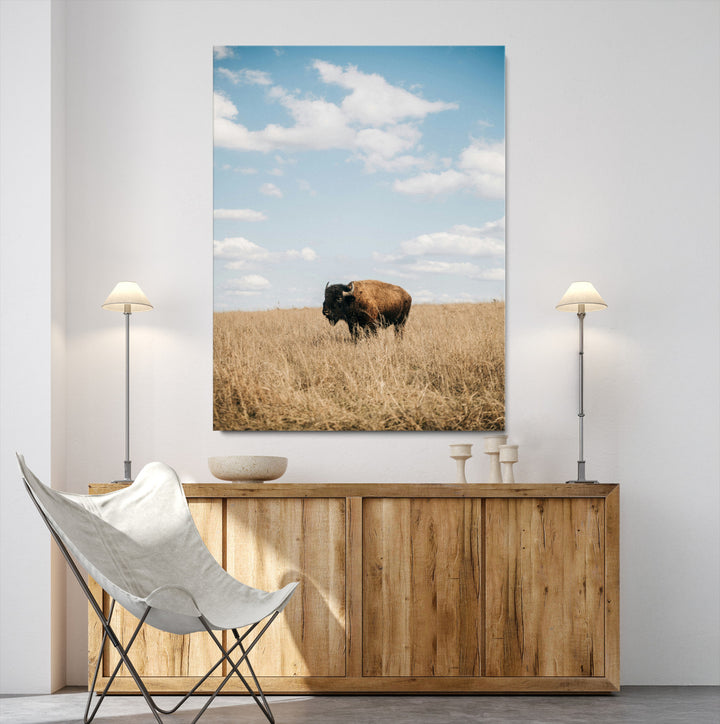 Bison Photography Wall Art Canvas Print: Framed Western Landscape Art