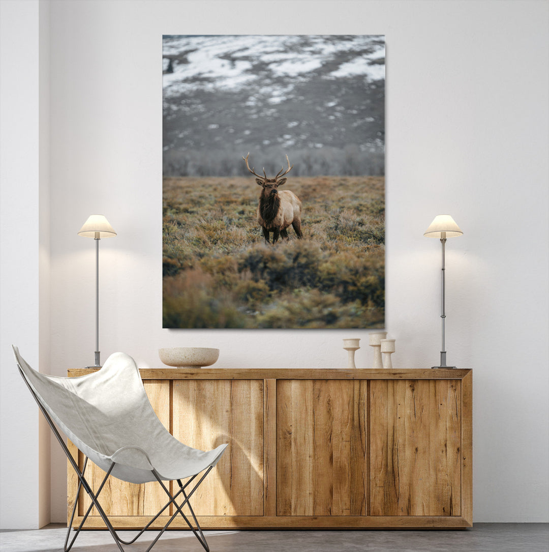 Wild Elk Wall Art Canvas Print, Mountain Wilderness Print, Framed Majestic Animal Art Print, Large Rustic Wildlife Wall Art Printing