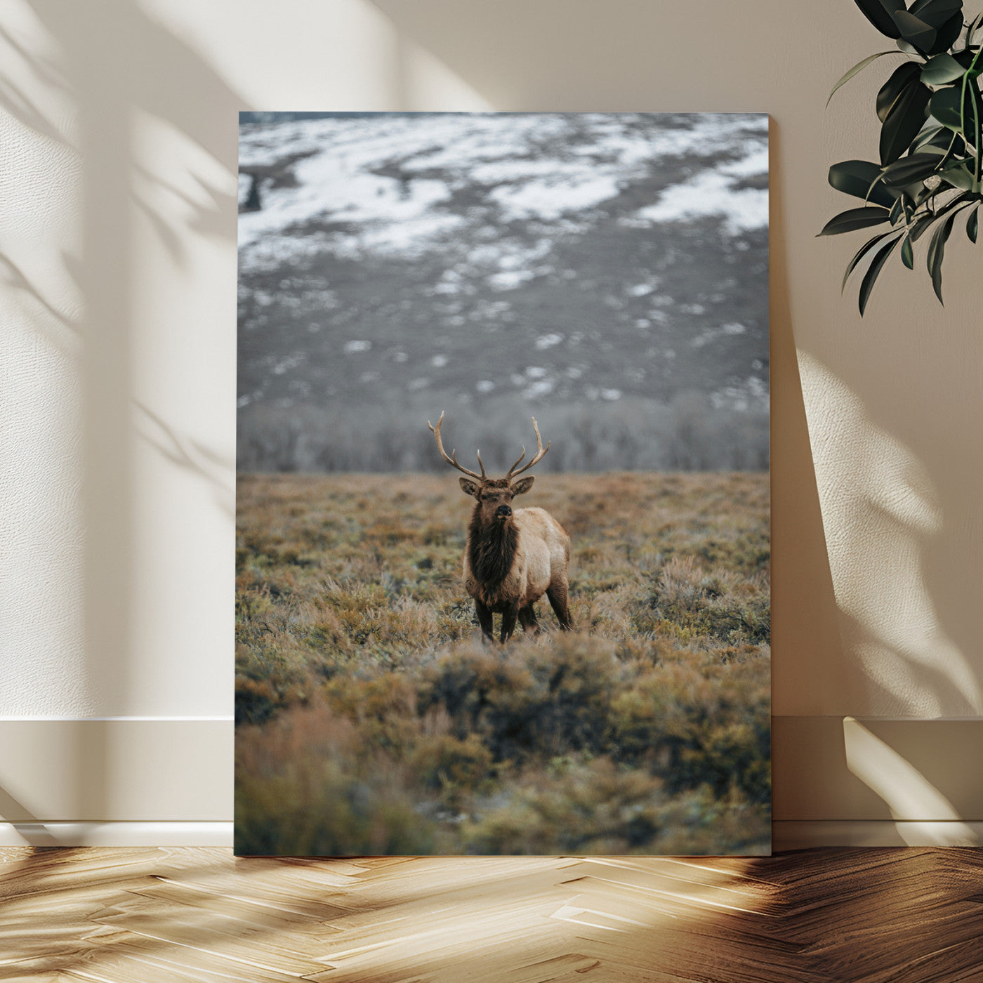 MGV-CV-24X36 - Wild Elk Wall Art Canvas Print, Framed Mountain Wilderness Art Picture Print, Majestic Animal Perfect Rustic Lodge Decor Artwork