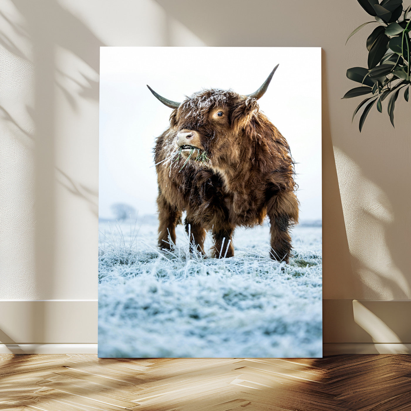 MGV-CV-24X36 - Minimalist Scottish Highlang Cow Wall Art Canvas Print for Farmhouse / County Style Art Print for