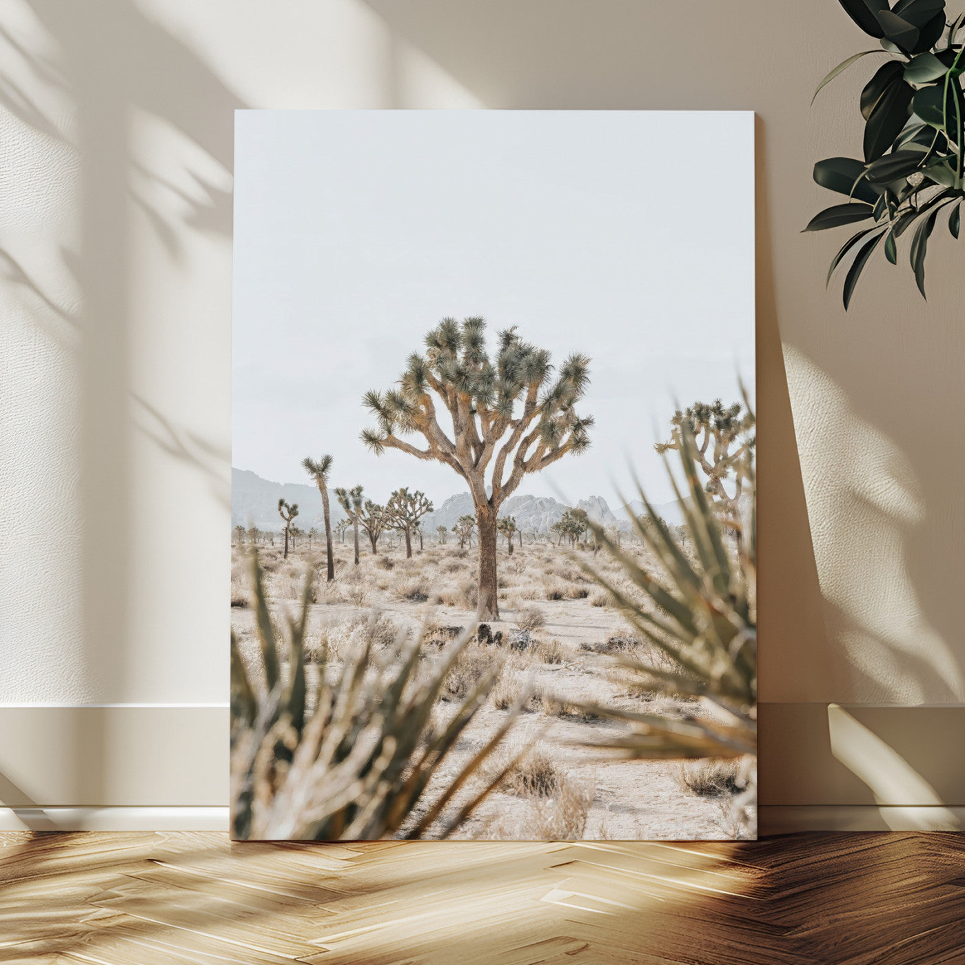 A wide desert landscape featuring multiple Joshua trees with spiky leaves and twisted branches, set against a pale sky and distant rocky hills. The foreground has blurred desert shrubs, emphasizing depth.