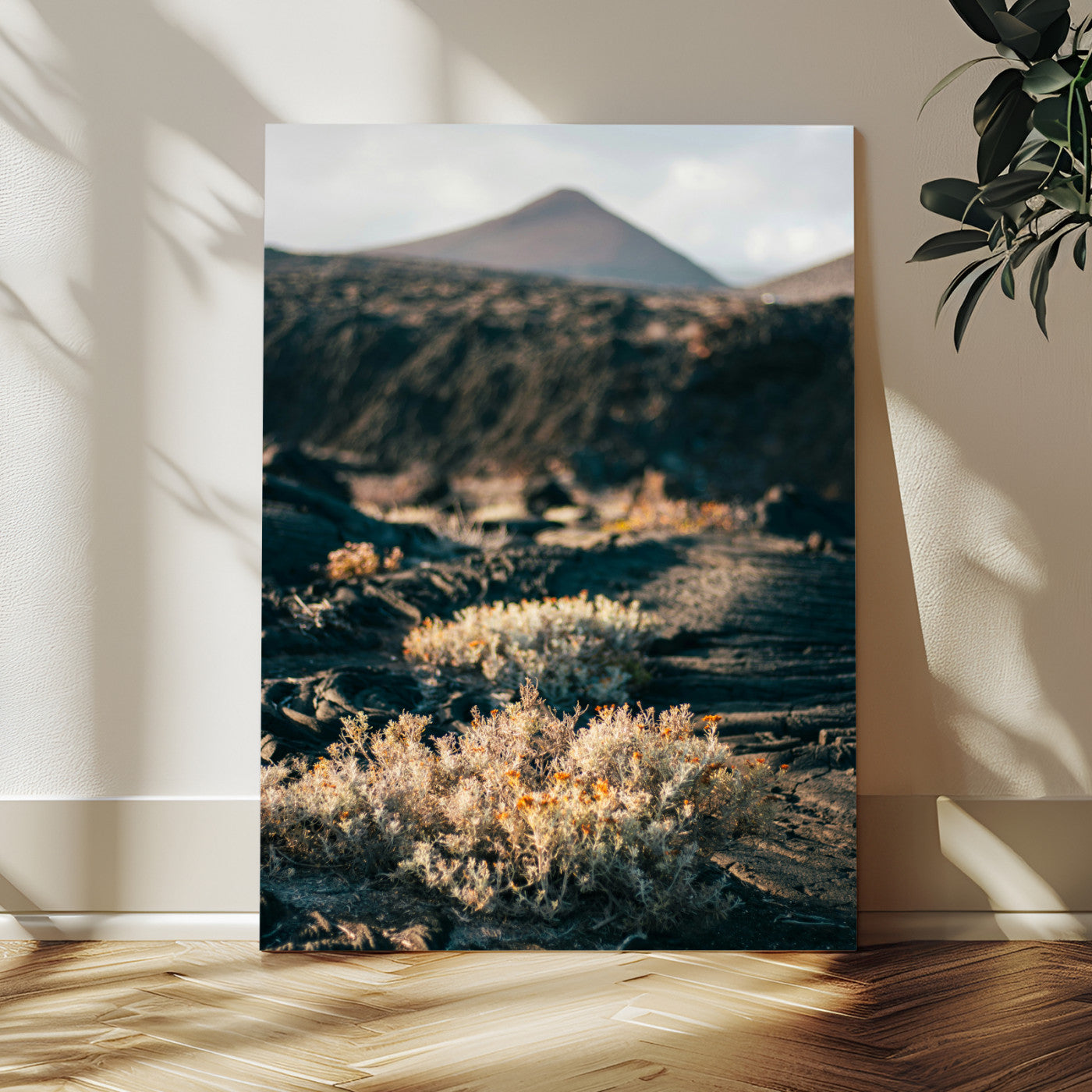 61856598-MGV-CV-24X36 - Wall Art Canvas Print