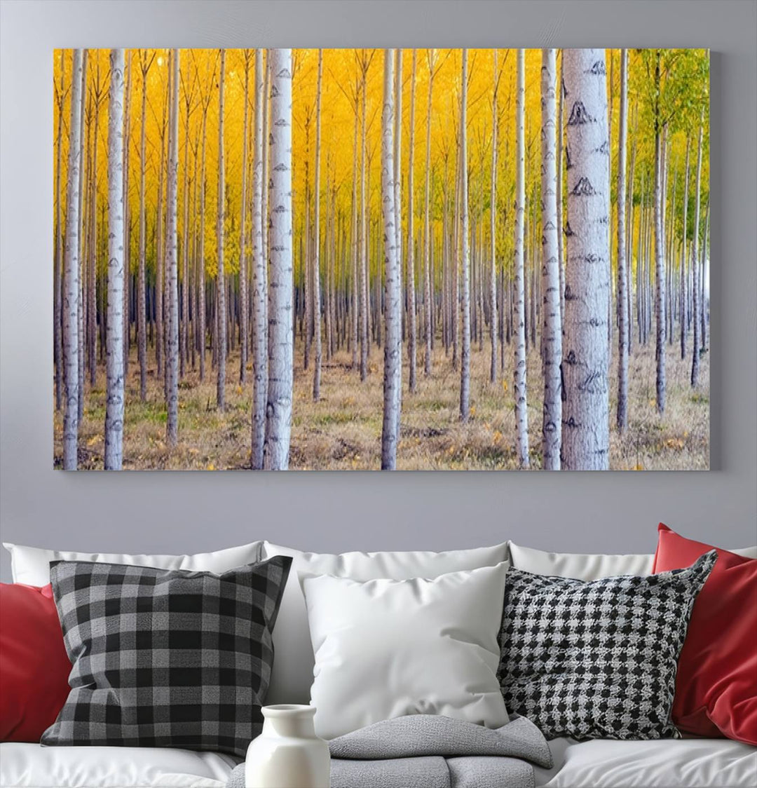 Birch Trees Forest in Autumn Wall Art Print