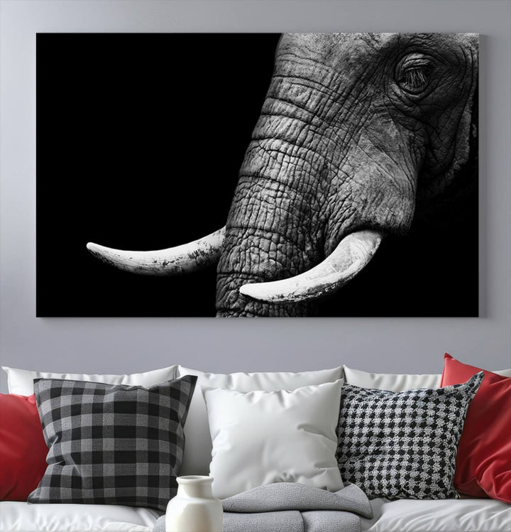 Wall Art Animal Canvas Print Close Taken Elephant with Big Ivories