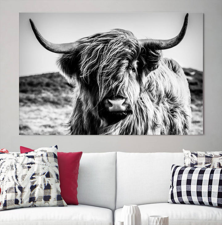 Scottish Cow Black and White Wall Canvas Art Print Farm House