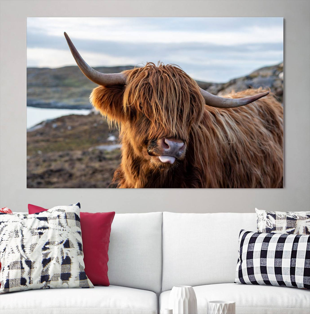 Cuddly Highland Cow Canvas Photo Wall Art Print Highlands Art Cute Animal Wall Art