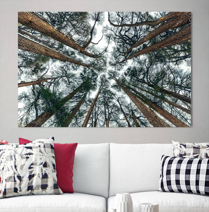 Impression sur toile d’art mural d’arbres forestiers