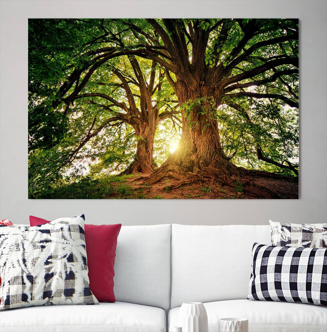 Majestic Ancient Tree Wall Art, Nature-Inspired Canvas Print, Woodland Art, Tree of Life Artwork, Sunlit Forest, Giclee Nature Print