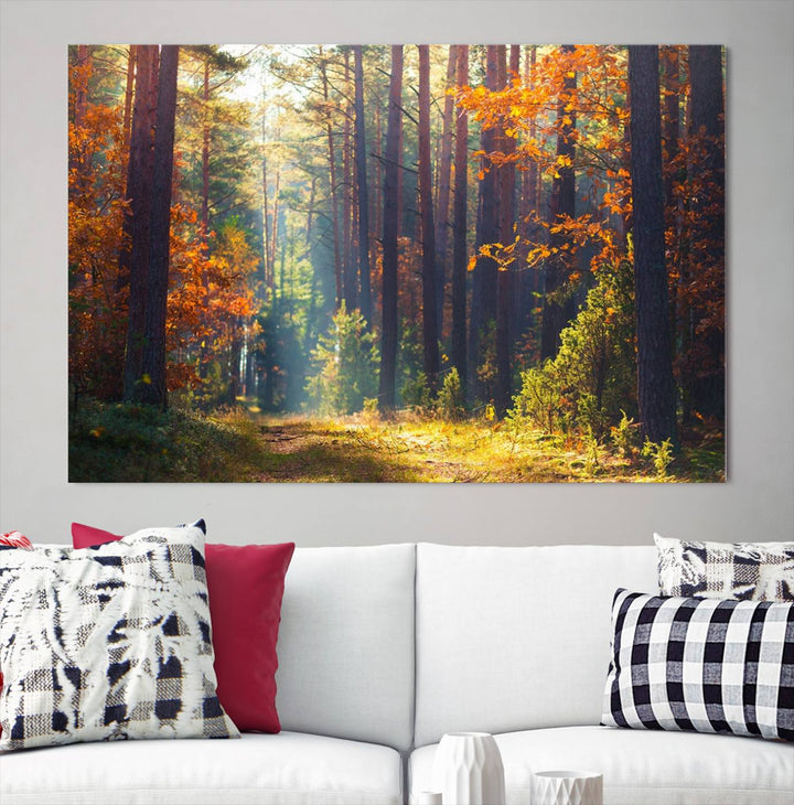 Forêt Sunshine Wall Art Impression sur toile