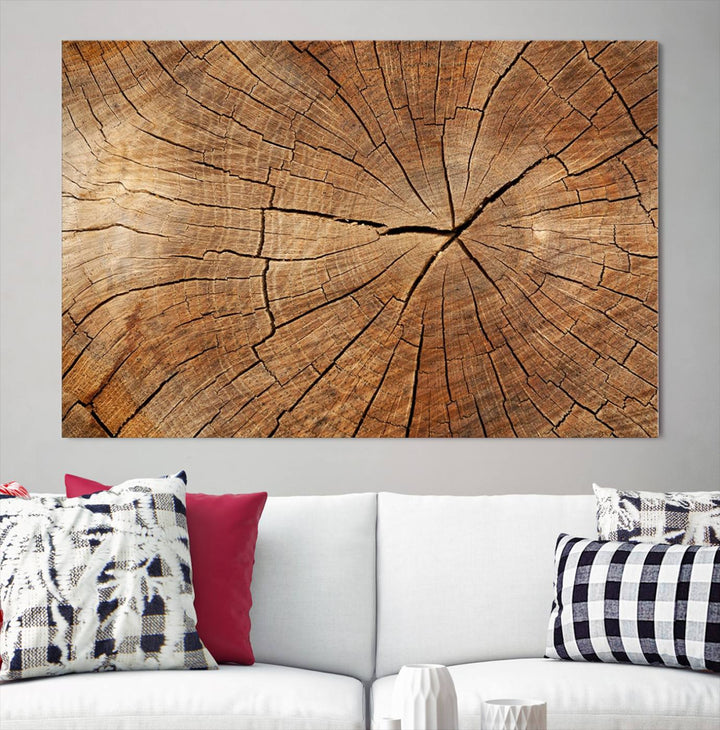 The stunning multi-panel wall art piece, the Tree Ring Canvas Art, features intricate rustic wood grain textures. This giclee triptych hangs elegantly on the wall.