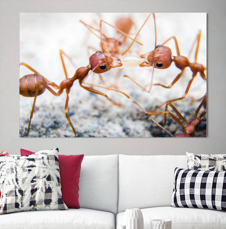 The "Ants Wall Art Canvas Print" features two ants facing each other, beautifully presented across three panels on museum-quality canvas with a UV-protective coating.