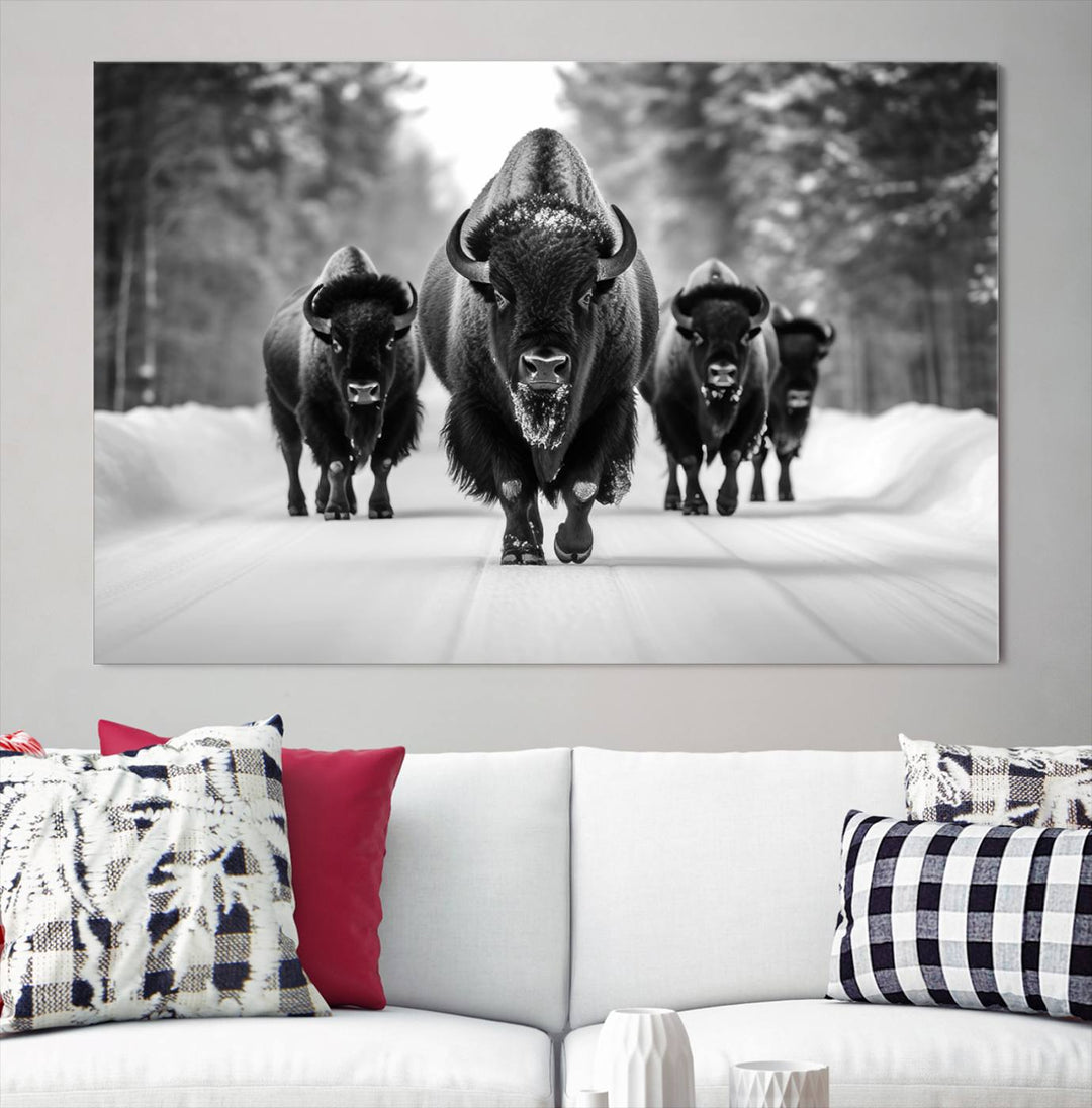 Buffalo Wall Art Canvas Print, Bison Wall Art Canvas Print