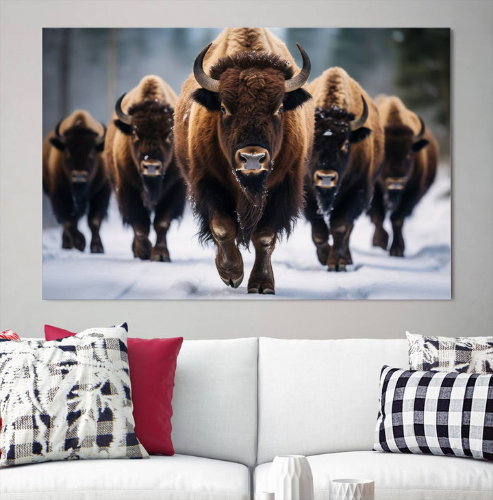 Buffalo Wall Art Canvas Print, American Bison Herd Wall Art Canvas Print