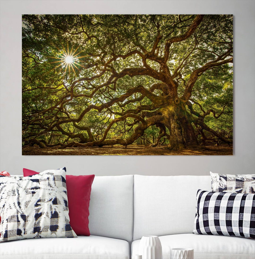 Ancient Angel Oak Tree Sunburst Wall Art - Nature-Inspired Triptych Canvas Print, Framed, Ready to Hang