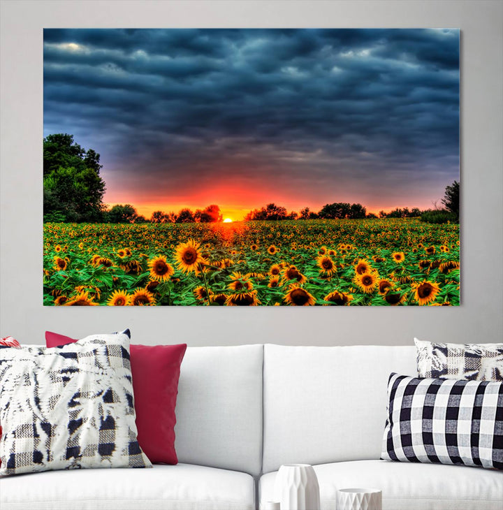 Golden Sunflower Field at Sunset – Breathtaking Sky and Vibrant Flowers, Ready to Hang Wall Art Canvas Print