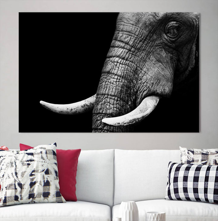 Wall Art Animal Canvas Print Close Taken Elephant with Big Ivories