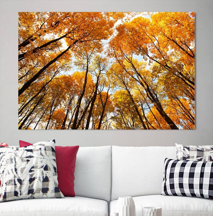 Wall Art Yellow Forest and Sky in Autumn Canvas Print