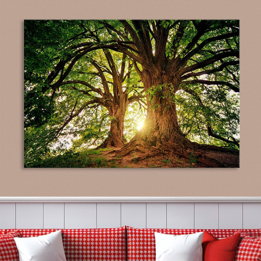 Majestic Ancient Tree Wall Art, Nature-Inspired Canvas Print, Woodland Art, Tree of Life Artwork, Sunlit Forest, Giclee Nature Print