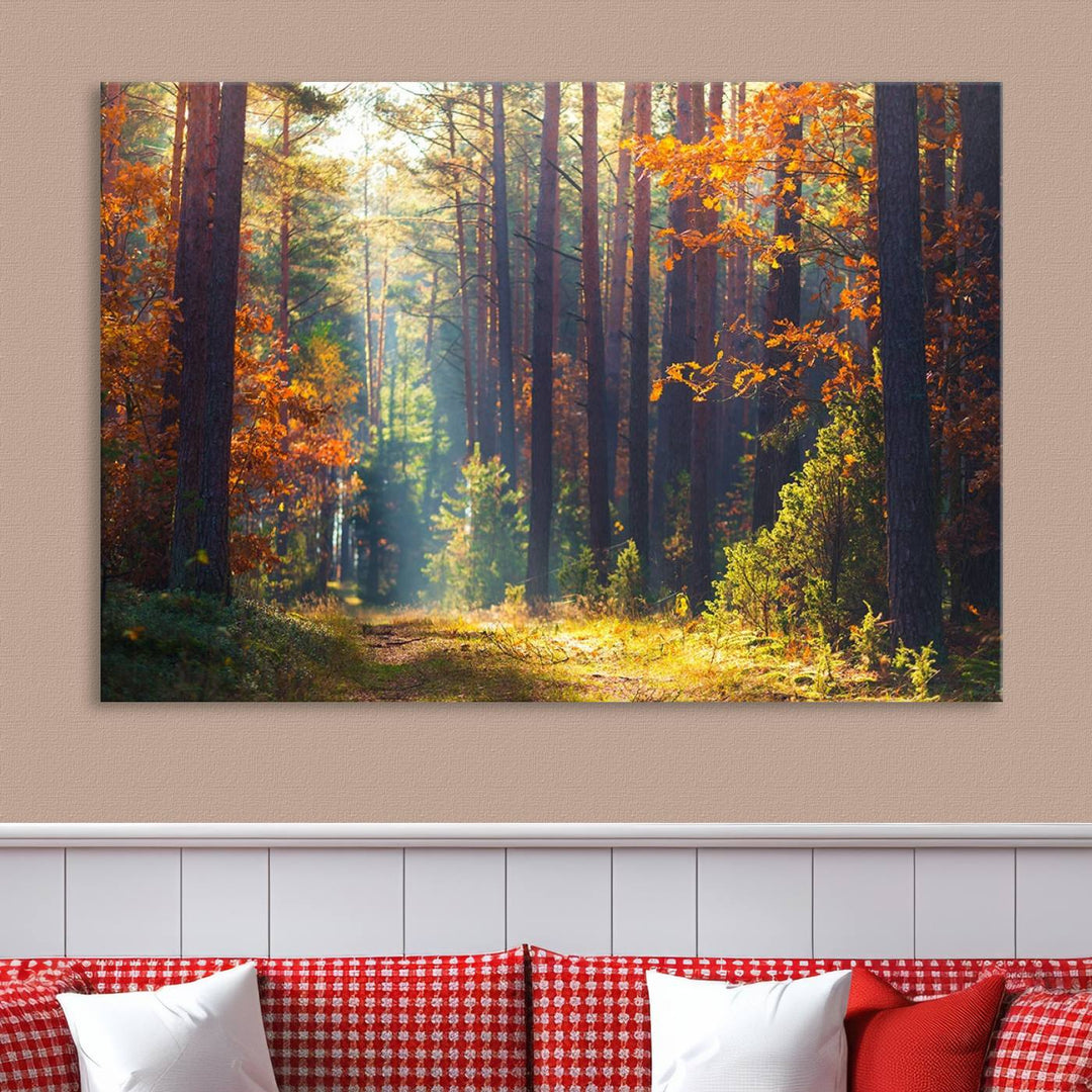 Forêt Sunshine Wall Art Impression sur toile