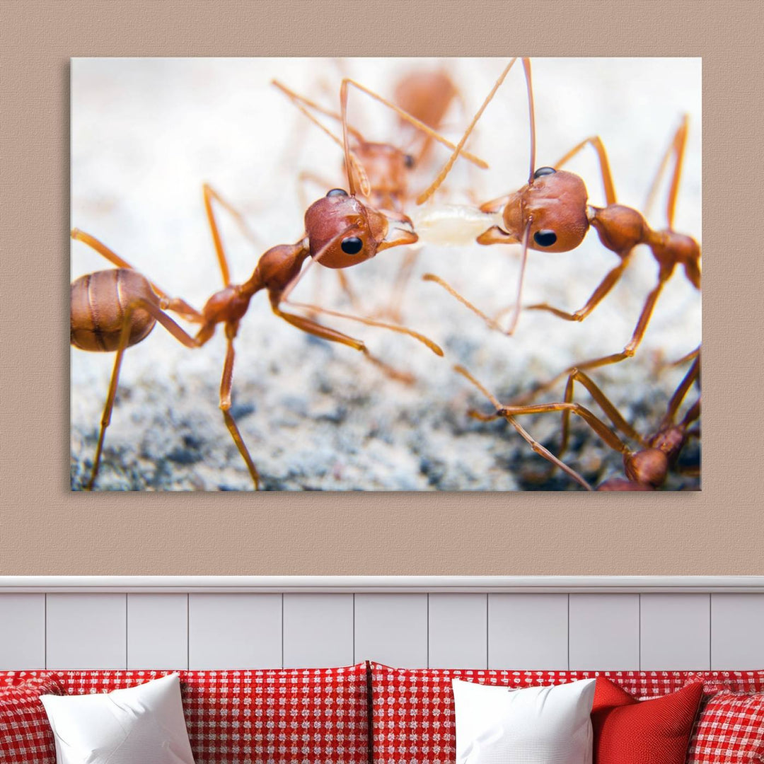 The "Ants Wall Art Canvas Print" features two ants facing each other, beautifully presented across three panels on museum-quality canvas with a UV-protective coating.