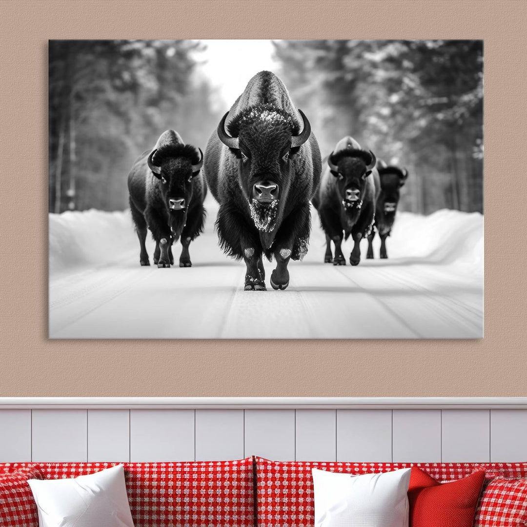 Buffalo Wall Art Canvas Print, Bison Wall Art Canvas Print