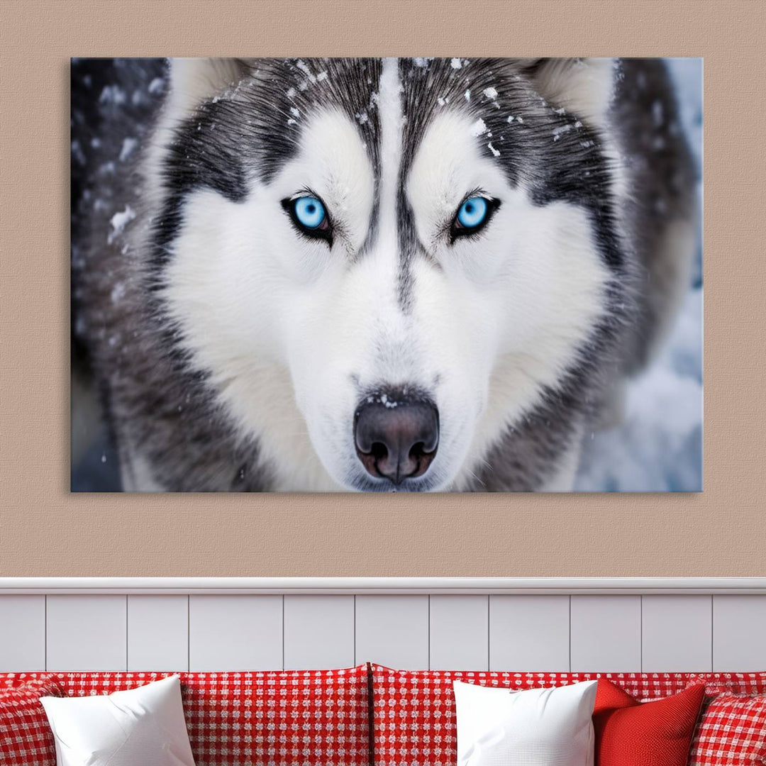 A large framed Winter Siberian Husky Wolf Wall Art Canvas Print, an exquisite piece of animal portrait decor, hangs prominently on the wall.