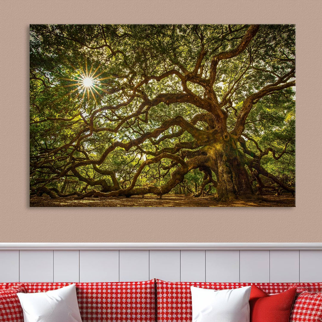 Ancient Angel Oak Tree Sunburst Wall Art - Nature-Inspired Triptych Canvas Print, Framed, Ready to Hang