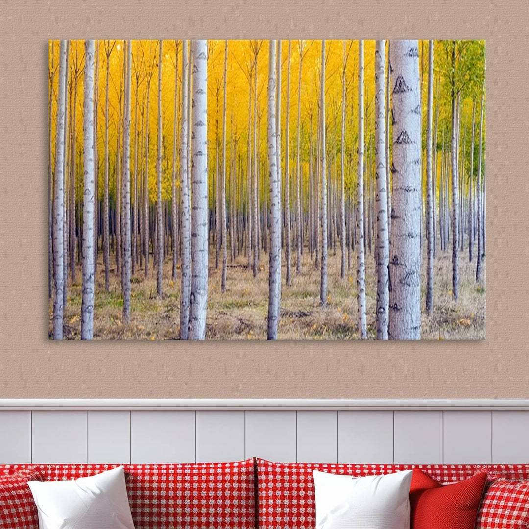 Impresión artística de pared con bosque de abedules en otoño