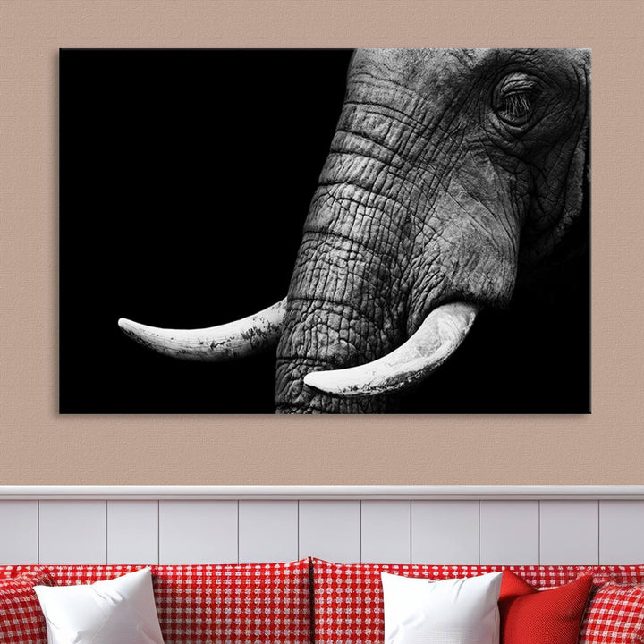 Wall Art Animal Canvas Print Close Taken Elephant with Big Ivories