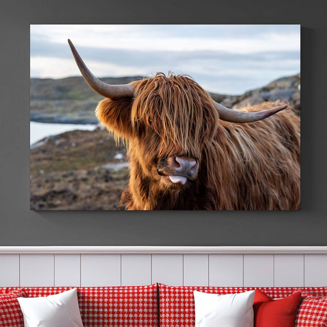 Cuddly Highland Cow Canvas Photo Wall Art Print Highlands Art Cute Animal Wall Art