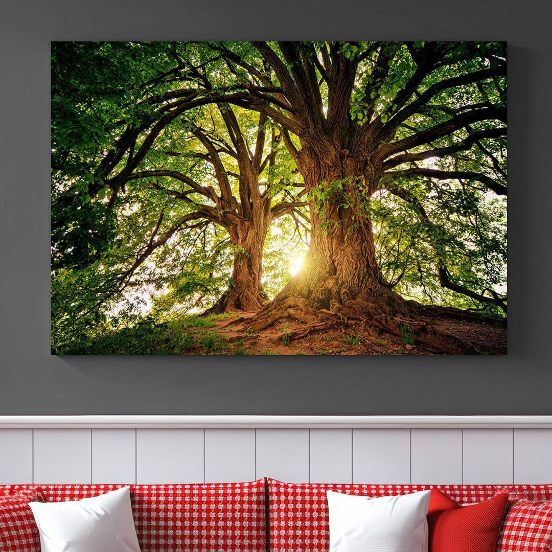 Majestic Ancient Tree Wall Art, Nature-Inspired Canvas Print, Woodland Art, Tree of Life Artwork, Sunlit Forest, Giclee Nature Print