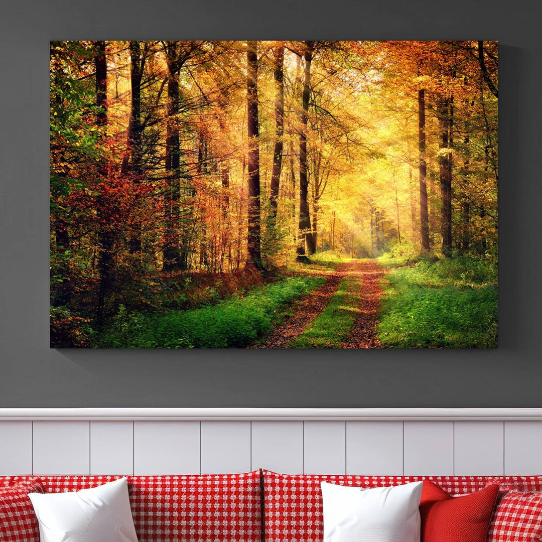 The Sunlight Through Trees Wall Art Canvas Print showcases a sunlit forest path in autumn on gallery-wrapped, museum-quality canvas with UV-protective coating.