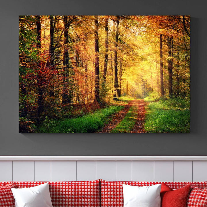 The Sunlight Through Trees Wall Art Canvas Print showcases a sunlit forest path in autumn on gallery-wrapped, museum-quality canvas with UV-protective coating.