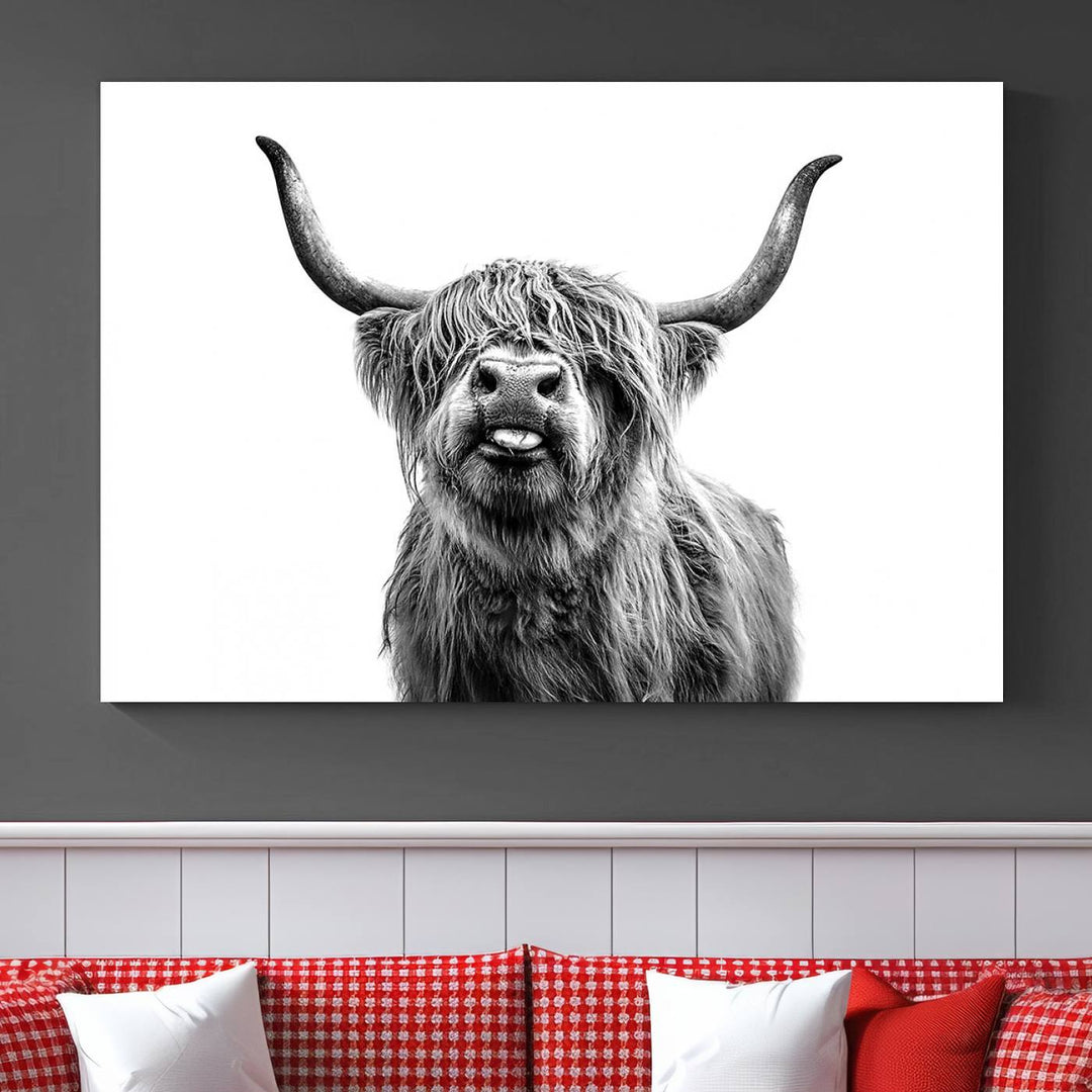 Fanny Scottish Highland Cow Cattle Art Print Farmhouse Wall Art Canvas Print