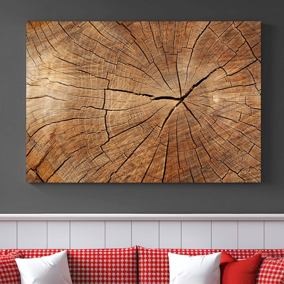 The stunning multi-panel wall art piece, the Tree Ring Canvas Art, features intricate rustic wood grain textures. This giclee triptych hangs elegantly on the wall.