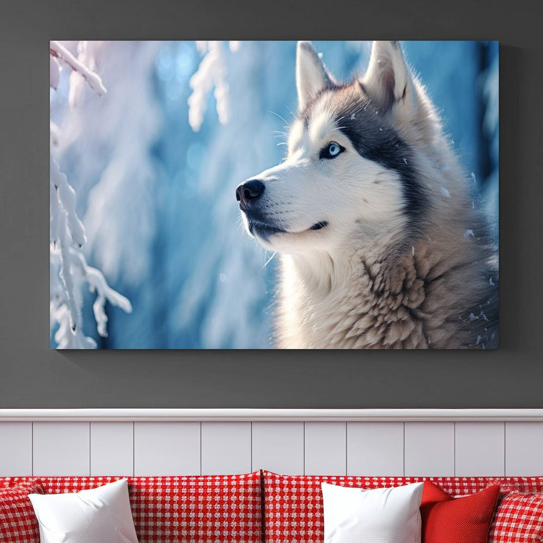 A captivating Winter Siberian Husky Wolf Wall Art Canvas Print hangs prominently.