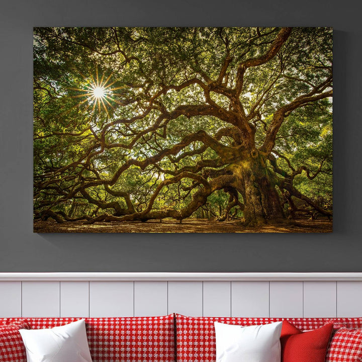 Ancient Angel Oak Tree Sunburst Wall Art - Nature-Inspired Triptych Canvas Print, Framed, Ready to Hang