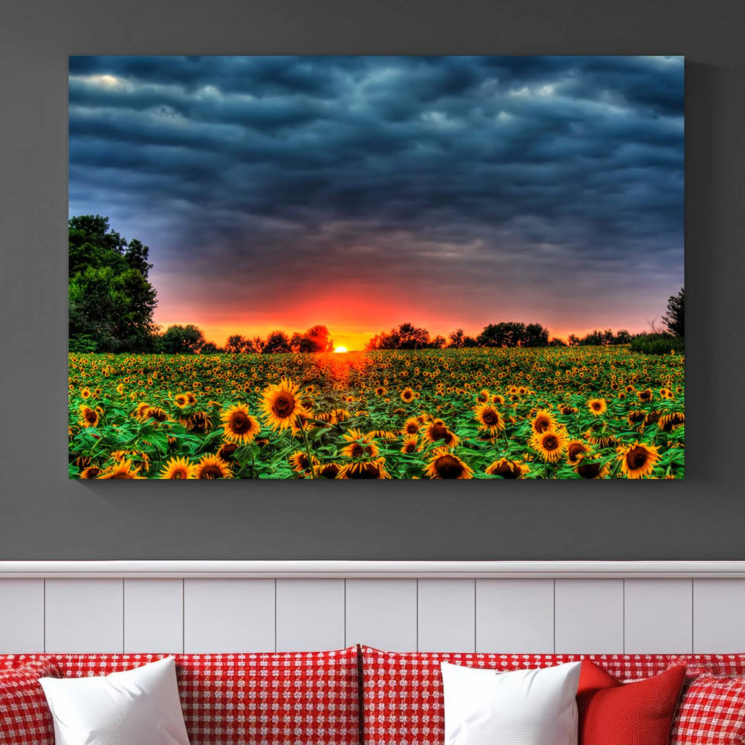 Golden Sunflower Field at Sunset – Breathtaking Sky and Vibrant Flowers, Ready to Hang Wall Art Canvas Print