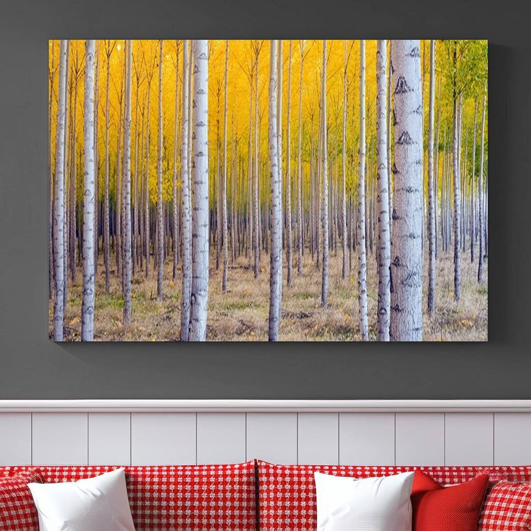 Birch Trees Forest in Autumn Wall Art Print