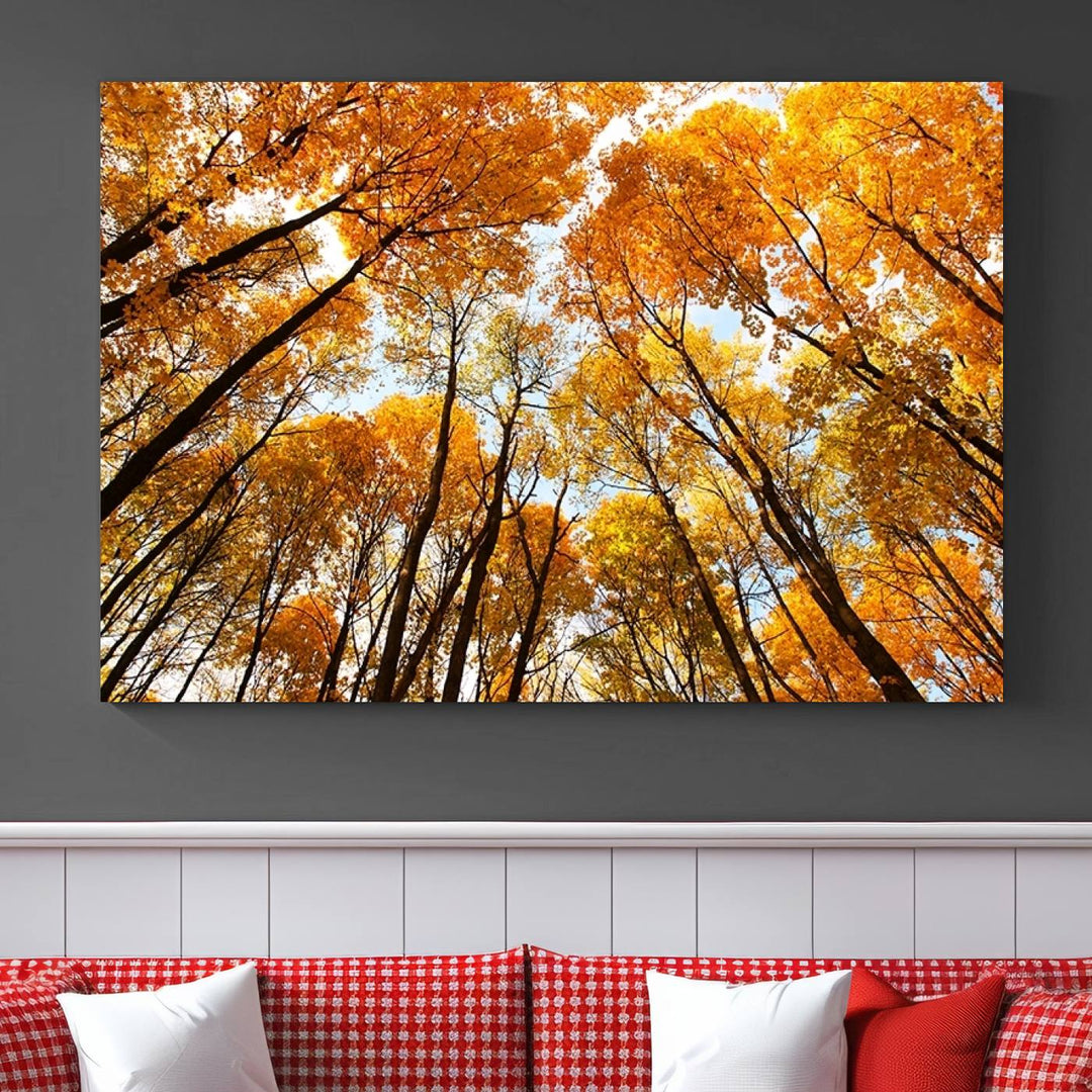 Wall Art Yellow Forest and Sky in Autumn Canvas Print