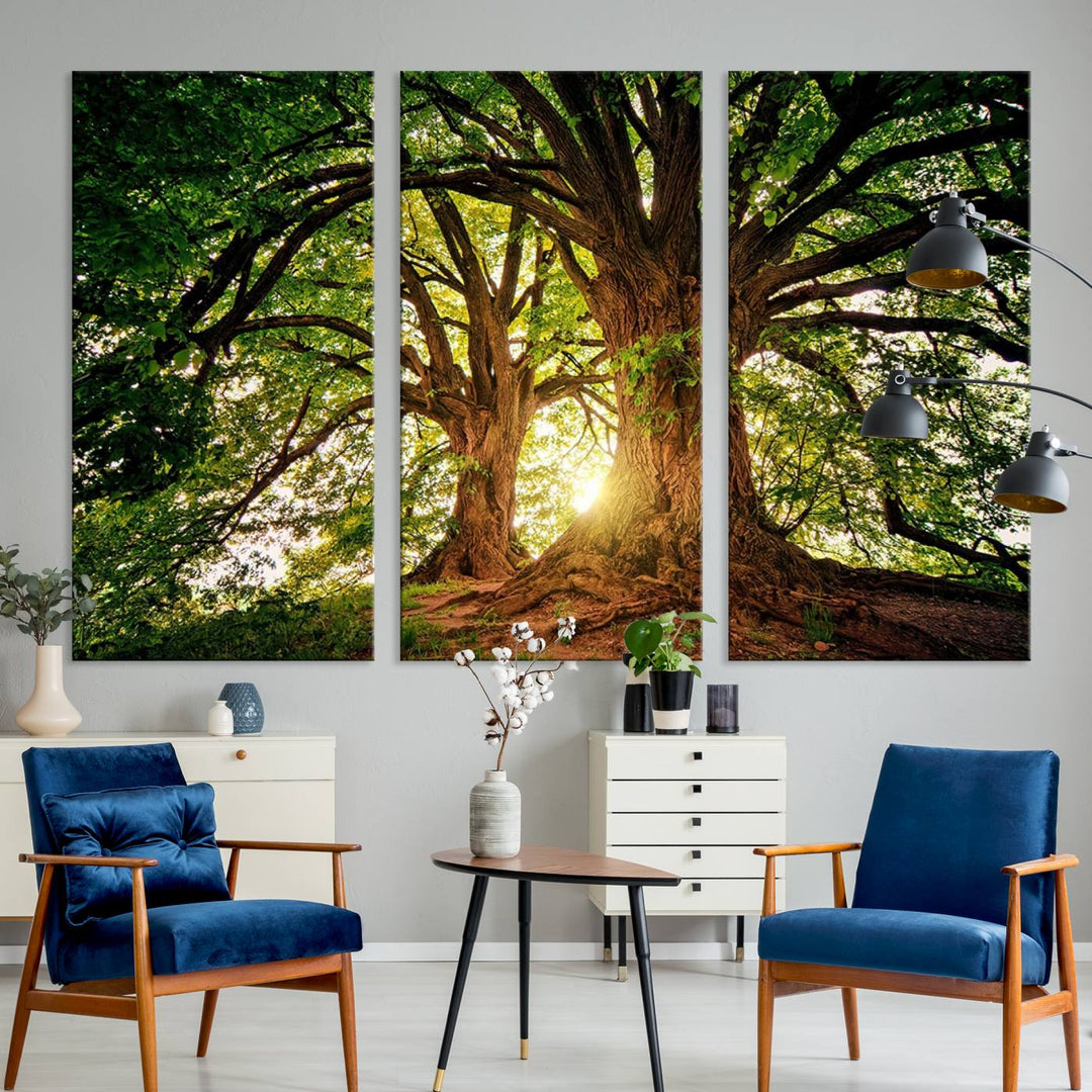 Majestic Ancient Tree Wall Art, Nature-Inspired Canvas Print, Woodland Art, Tree of Life Artwork, Sunlit Forest, Giclee Nature Print