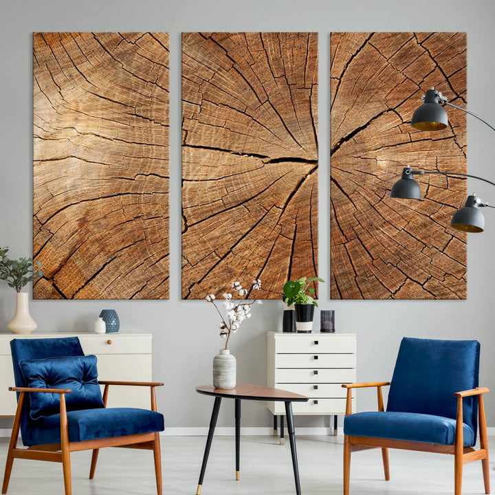 The stunning multi-panel wall art piece, the Tree Ring Canvas Art, features intricate rustic wood grain textures. This giclee triptych hangs elegantly on the wall.