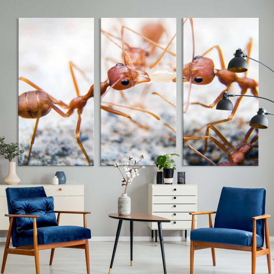 The "Ants Wall Art Canvas Print" features two ants facing each other, beautifully presented across three panels on museum-quality canvas with a UV-protective coating.